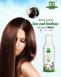 B&T Anti- Dandruff Shampoo