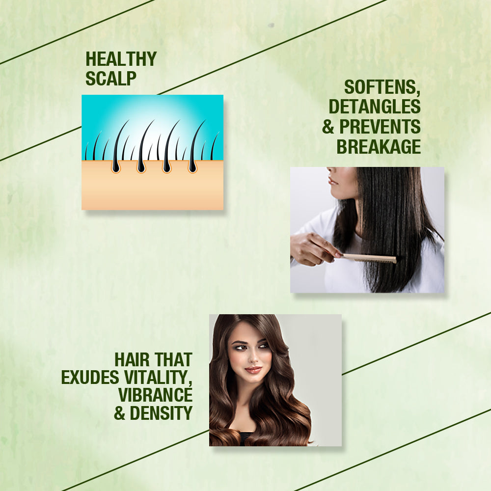 Sunny Herbals Arnica Hair Conditioner
